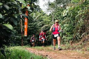 BIB: 
                            <button type="button" onclick="openModal(26434593)" class="btn btn-primary btn-sm float-right btn-popup" data-toggle="modal" data-target=".modal-high-quality">
                        <i class="fas fa-shopping-cart"></i> Add to Cart
                    </button>
                                            <button type="button" onclick="isThisMe(26434593, true)" class="btn btn-success btn-sm float-right btn-popup btn-isme hidden" data-toggle="tooltip" data-placement="bottom" title="นี่คือรูปของคุณใช่ไหม คลิกที่นี่เพื่อเอาเข้าอัลบั้ม">
                        <i class="fas fa-plus"></i> Add to album
                    </button>
                    <button type="button" onclick="isThisMe(26434593, false)" class="btn btn-warning btn-sm float-right btn-popup btn-isnotme hidden">
                        <i class="fas fa-ban"></i> Remove from album
                    </button>